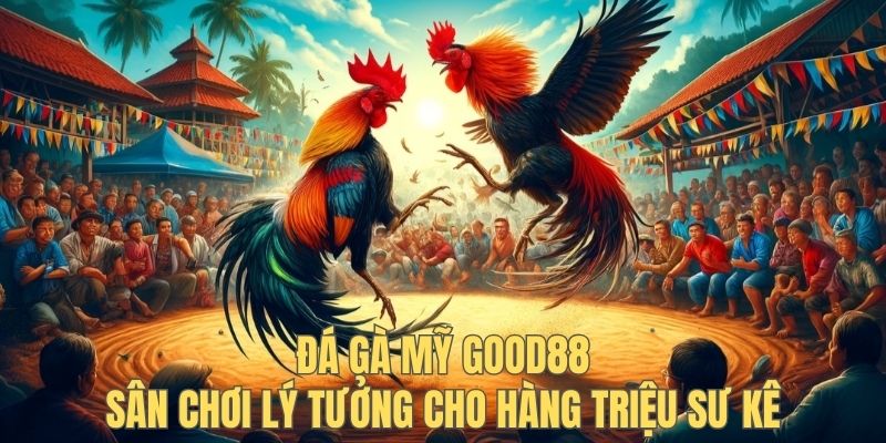 Đá Gà Mỹ Good88 - Sân Chơi Lý Tưởng Cho Hàng Triệu Sư Kê